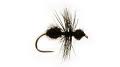 DRY Ant Black - 1 dozen