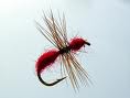 DRY Ant Red - 1 dozen